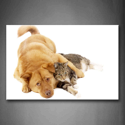 Yellow Dog Lie With A Cat In White Background Wall Art Painting The Picture Print On Canvas Animal Pictures For Home Decor Decoration Gift 