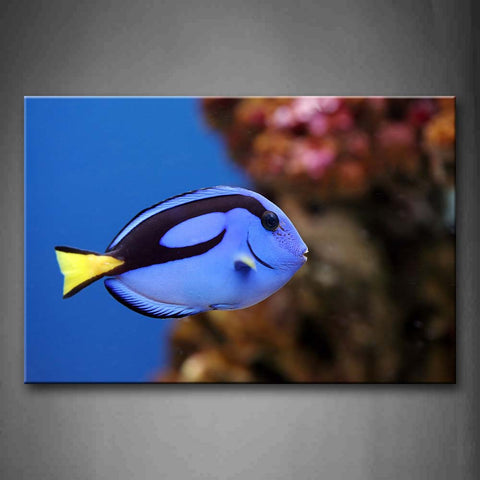 Blue White And Black Fish Swimming In Sea Wall Art Painting Pictures Print On Canvas Animal The Picture For Home Modern Decoration 