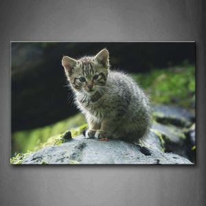 Cute Cat Sit On Rock Wall Art Painting Pictures Print On Canvas Animal The Picture For Home Modern Decoration 