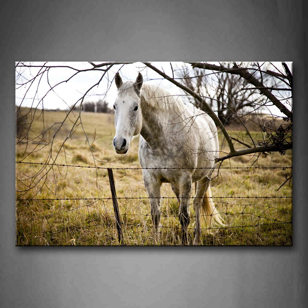 Gray Horse Stand On Grassland Near Fence And Dry Tree Wall Art Painting Pictures Print On Canvas Animal The Picture For Home Modern Decoration 