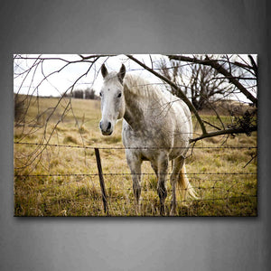 Gray Horse Stand On Grassland Near Fence And Dry Tree Wall Art Painting Pictures Print On Canvas Animal The Picture For Home Modern Decoration 