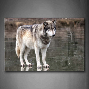 Wolf Stand On Land Wall Art Painting The Picture Print On Canvas Animal Pictures For Home Decor Decoration Gift 