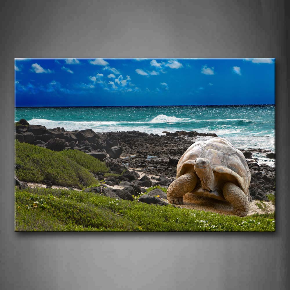 Blue Turtle Crawl Away Beach To Grass Wall Art Painting Pictures Print On Canvas Animal The Picture For Home Modern Decoration 