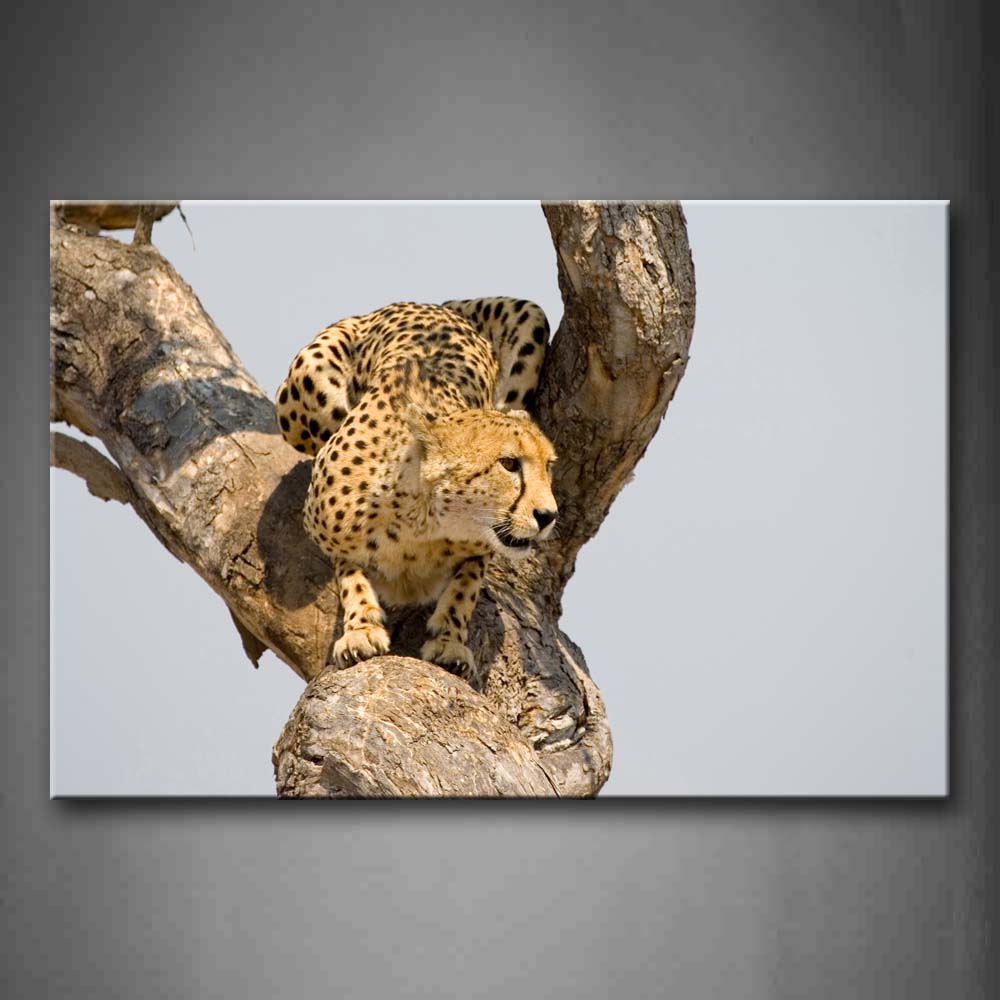 Cheetah Crawl On Dry Branch Wall Art Painting The Picture Print On Canvas Animal Pictures For Home Decor Decoration Gift 