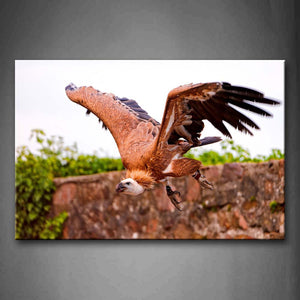 Vulture Fly Plant Wall Art Painting Pictures Print On Canvas Animal The Picture For Home Modern Decoration 