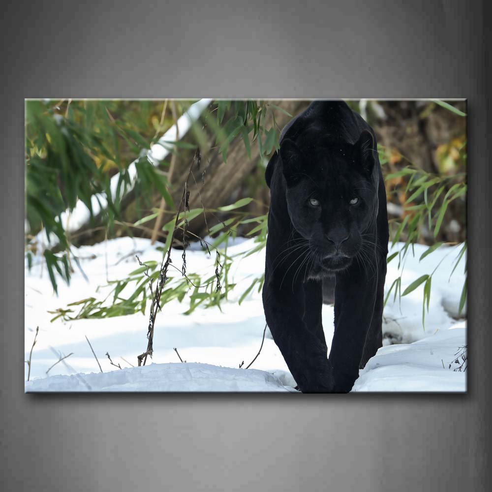 Black Panther Walk On Snowfield Green Leafs Wall Art Painting The Picture Print On Canvas Animal Pictures For Home Decor Decoration Gift 