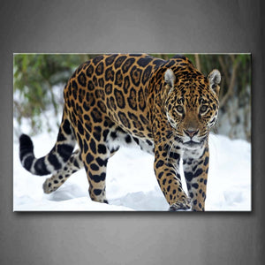 Jaguar Walk On Snowfield Trees Wall Art Painting Pictures Print On Canvas Animal The Picture For Home Modern Decoration 