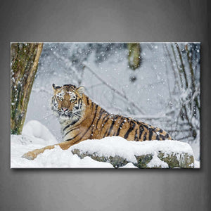 Tiger Lie On Snowfield Tree Snowing Wall Art Painting The Picture Print On Canvas Animal Pictures For Home Decor Decoration Gift 