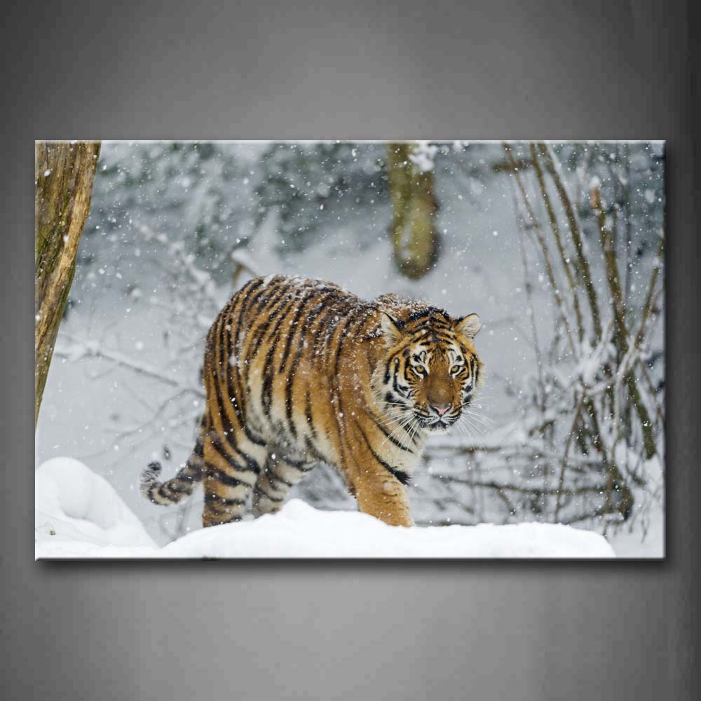 Tiger Walk On Snowfield Snowing Tree Wall Art Painting Pictures Print On Canvas Animal The Picture For Home Modern Decoration 