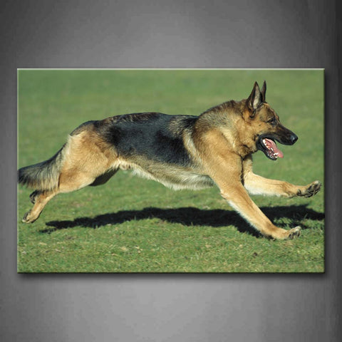 German Shepherd Running On Grassland Wall Art Painting Pictures Print On Canvas Animal The Picture For Home Modern Decoration 