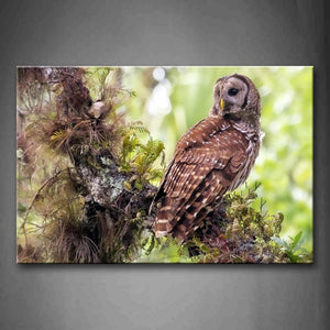 Owl Stand On Branch Moss Look Back Wall Art Painting The Picture Print On Canvas Animal Pictures For Home Decor Decoration Gift 