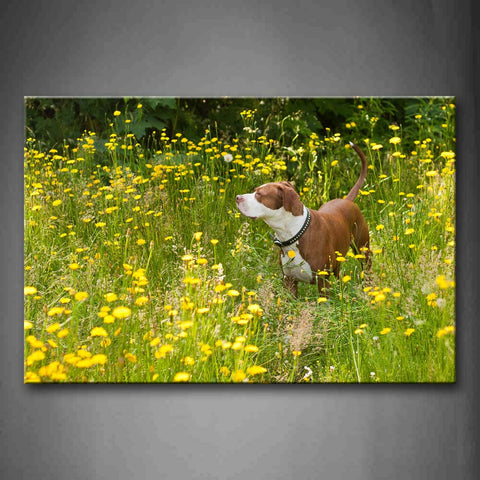 Yellow And White Dog Stand In Anthemy  Wall Art Painting The Picture Print On Canvas Animal Pictures For Home Decor Decoration Gift 