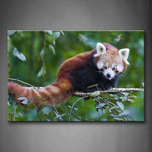 Red Panda Stand On Branch Wall Art Painting Pictures Print On Canvas Animal The Picture For Home Modern Decoration 