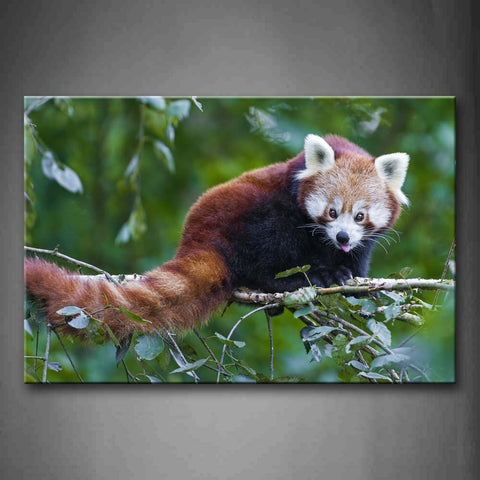 Red Panda Stand On Branch Wall Art Painting Pictures Print On Canvas Animal The Picture For Home Modern Decoration 