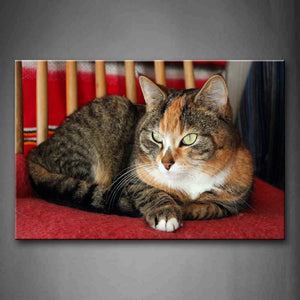 Cat Lie On Red Blanket Wall Art Painting The Picture Print On Canvas Animal Pictures For Home Decor Decoration Gift 