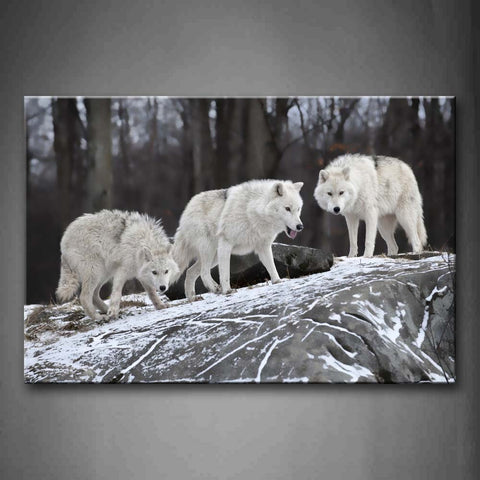 Three Wolfs Stand On Rock Snow Trees Wall Art Painting Pictures Print On Canvas Animal The Picture For Home Modern Decoration 