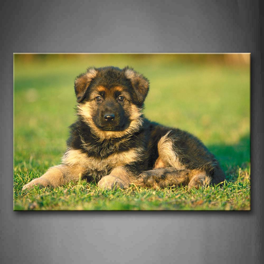 Dog Lie On Grass Wall Art Painting The Picture Print On Canvas Animal Pictures For Home Decor Decoration Gift 