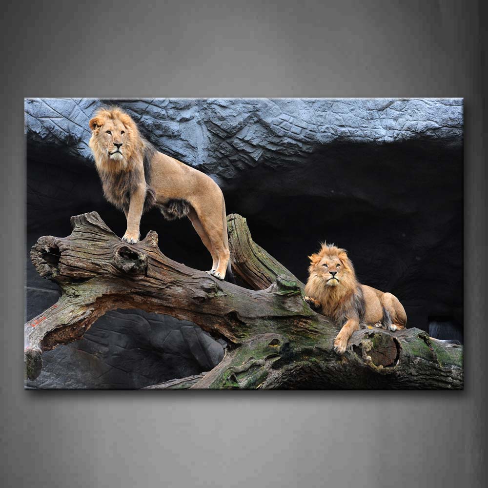 Two Lions On Dry Wood Near Rock Wall Art Painting Pictures Print On Canvas Animal The Picture For Home Modern Decoration 