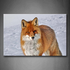 Yellow And White Fox Stand On Snowfield Wall Art Painting The Picture Print On Canvas Animal Pictures For Home Decor Decoration Gift 