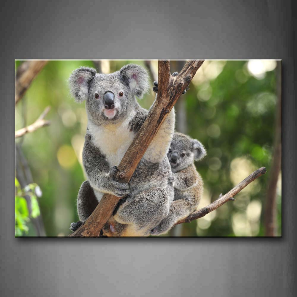 Mother Koala And Cub Stand On Branch Wall Art Painting Pictures Print On Canvas Animal The Picture For Home Modern Decoration 