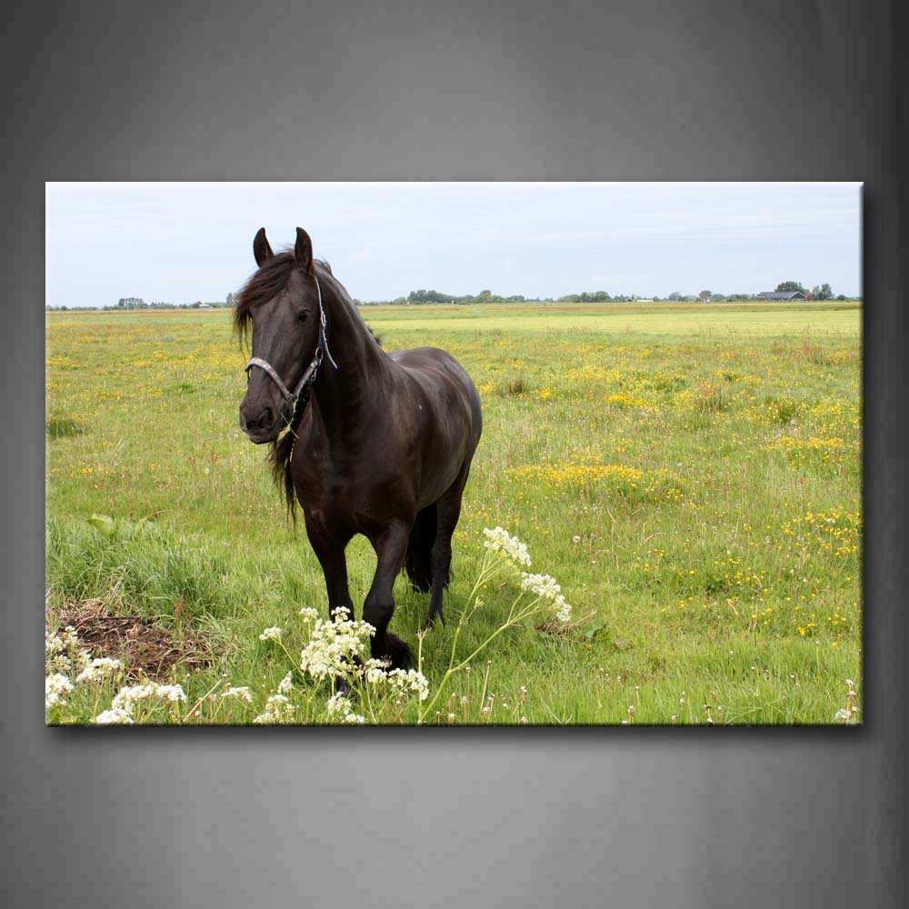 Black Horse Stand On Grassland Flower Wall Art Painting The Picture Print On Canvas Animal Pictures For Home Decor Decoration Gift 