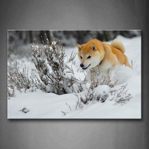 Yellow Dog Run In Snowfield Plant Wall Art Painting Pictures Print On Canvas Animal The Picture For Home Modern Decoration 