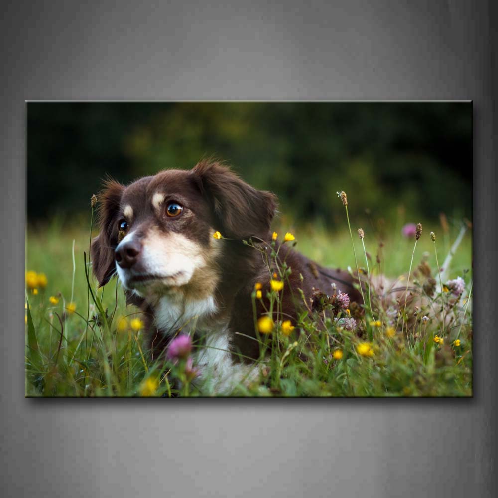 Brown And White Dog Sit In Grass Yellow Flower Wall Art Painting The Picture Print On Canvas Animal Pictures For Home Decor Decoration Gift 