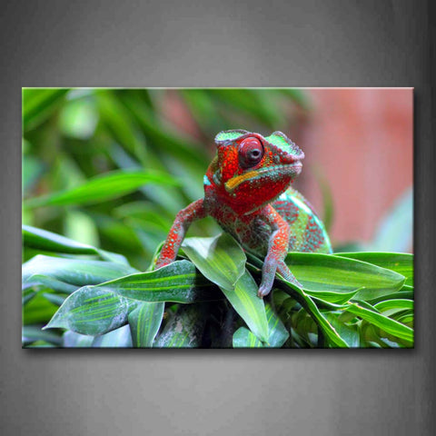 Colorful Chameleon Stand On Green Leafs Wall Art Painting The Picture Print On Canvas Animal Pictures For Home Decor Decoration Gift 