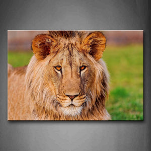 Portrait Of Lion  Wall Art Painting Pictures Print On Canvas Animal The Picture For Home Modern Decoration 