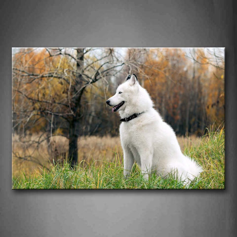 White Dog Sit In Grass Trees Autumn Wall Art Painting The Picture Print On Canvas Animal Pictures For Home Decor Decoration Gift 