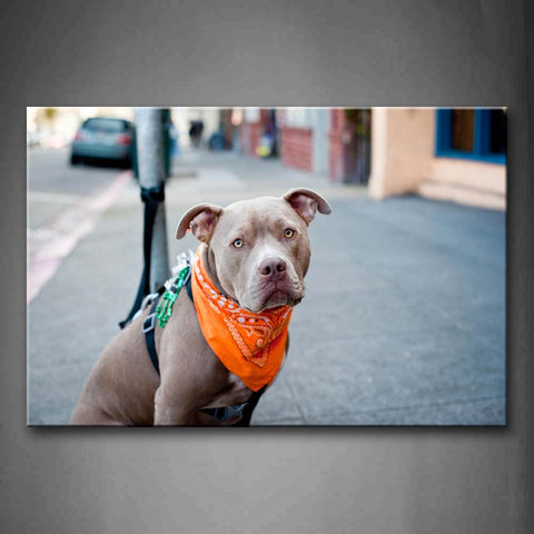 Pit Bull Sit On Street  Wall Art Painting Pictures Print On Canvas Animal The Picture For Home Modern Decoration 