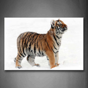 Young Tiger Stand On Snowfield Wall Art Painting The Picture Print On Canvas Animal Pictures For Home Decor Decoration Gift 