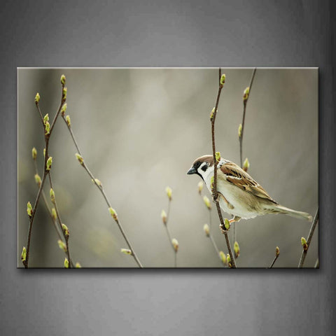 Bird Stand On Treetop Wall Art Painting Pictures Print On Canvas Animal The Picture For Home Modern Decoration 