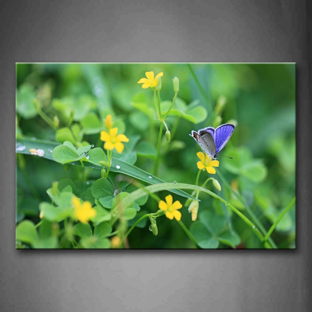 Blue Butterfly Stop On Yellow Flower Plant Wall Art Painting The Picture Print On Canvas Animal Pictures For Home Decor Decoration Gift 