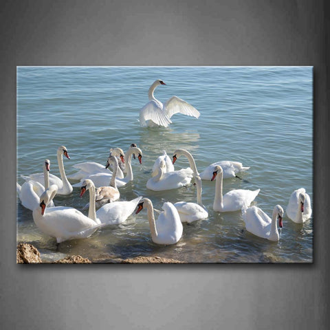 Group Of Swan Swimming Lakeside Wall Art Painting Pictures Print On Canvas Animal The Picture For Home Modern Decoration 