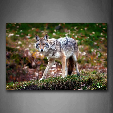 Wolf Stand On Grass Fallen Leafs Wall Art Painting The Picture Print On Canvas Animal Pictures For Home Decor Decoration Gift 