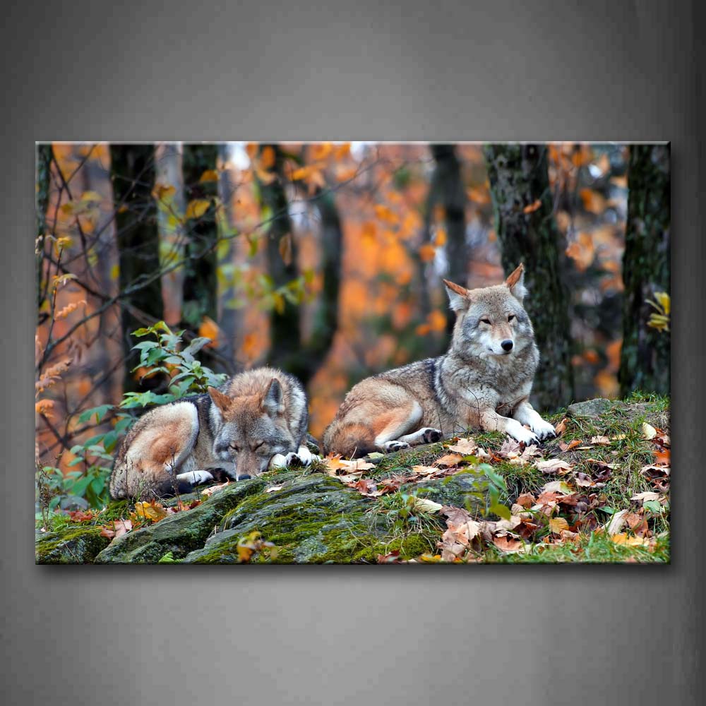 Two Wolfs Sit On Rock In Forest Fallen Leafs Wall Art Painting Pictures Print On Canvas Animal The Picture For Home Modern Decoration 