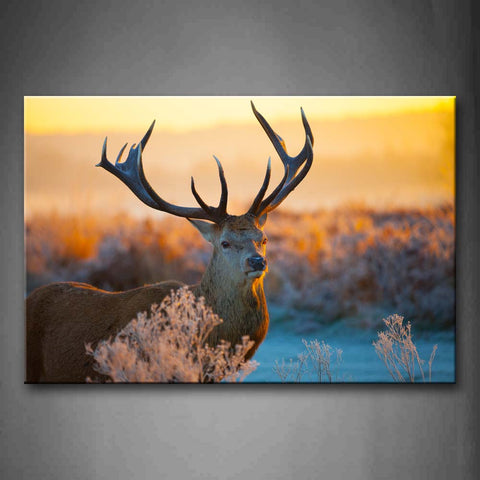 Deer Stand On Land At Dusk Plant Wall Art Painting The Picture Print On Canvas Animal Pictures For Home Decor Decoration Gift 