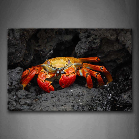 Orange And Yellow Crab In Rock Wall Art Painting Pictures Print On Canvas Animal The Picture For Home Modern Decoration 