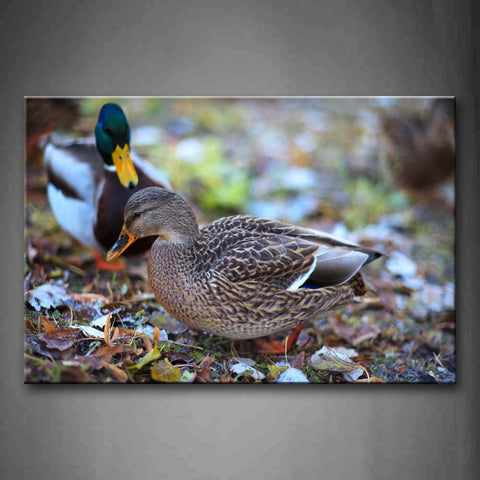 Two Ducks Stand On Land Fallen Leafs Wall Art Painting Pictures Print On Canvas Animal The Picture For Home Modern Decoration 