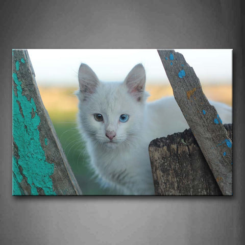 White Cat Stand Behind Wood Wall Art Painting The Picture Print On Canvas Animal Pictures For Home Decor Decoration Gift 