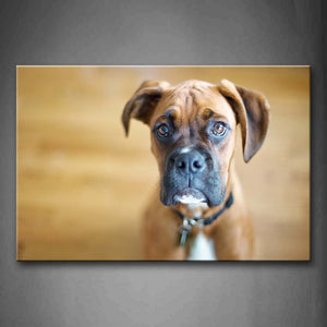 Boxer Sit On Land Portrait Wall Art Painting The Picture Print On Canvas Animal Pictures For Home Decor Decoration Gift 