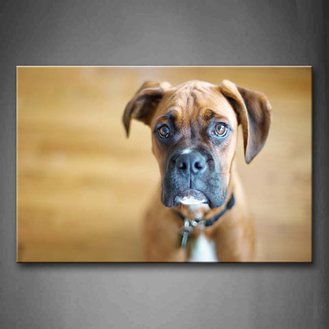 Boxer Sit On Land Portrait Wall Art Painting The Picture Print On Canvas Animal Pictures For Home Decor Decoration Gift 