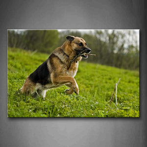 German Shepherd Running On Grass Tree Wall Art Painting Pictures Print On Canvas Animal The Picture For Home Modern Decoration 