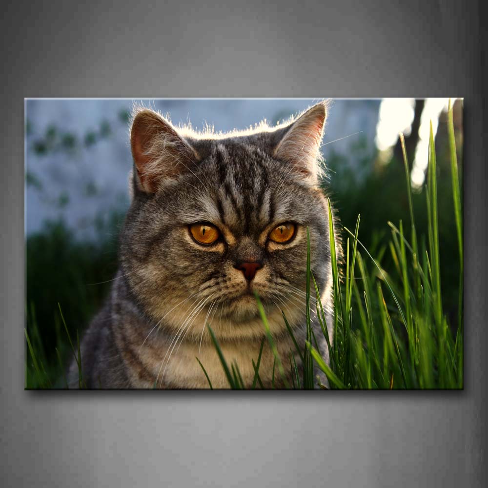 Cat In Green Grass Head Wall Art Painting Pictures Print On Canvas Animal The Picture For Home Modern Decoration 