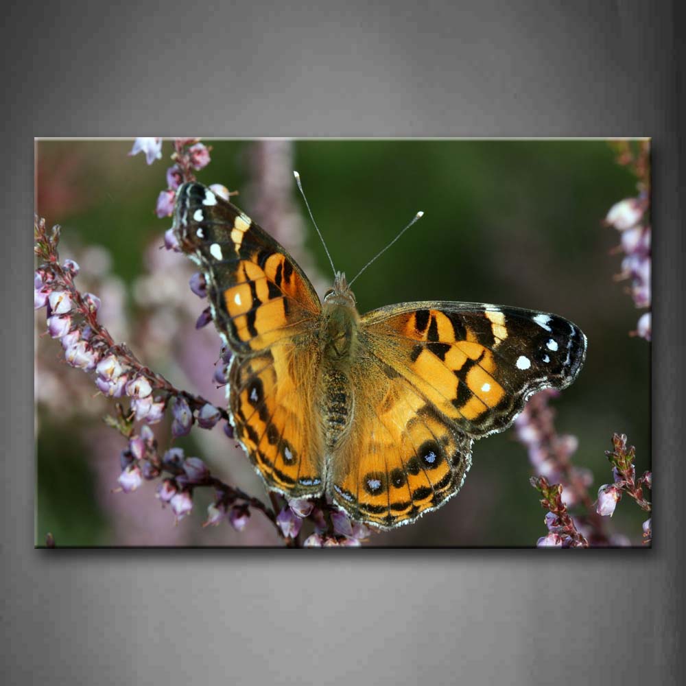 Moth Stop On Branch Flower Wall Art Painting Pictures Print On Canvas Animal The Picture For Home Modern Decoration 