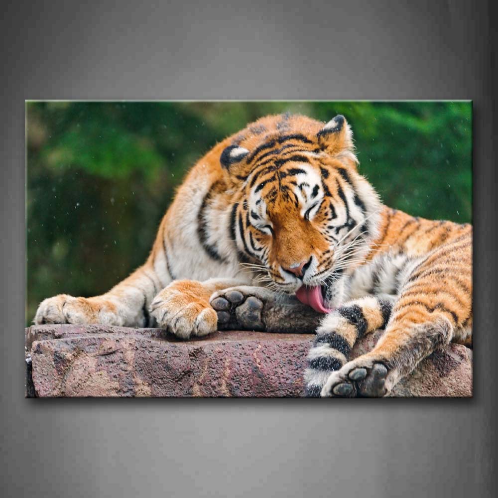 Tiger Lie On Rock  Wall Art Painting The Picture Print On Canvas Animal Pictures For Home Decor Decoration Gift 