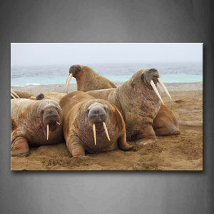 Group Of Walruses Crawl On Beach Wall Art Painting Pictures Print On Canvas Animal The Picture For Home Modern Decoration 