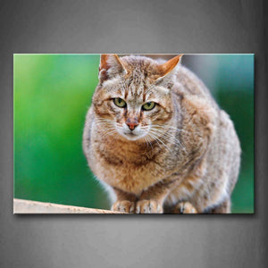 Gray And Yellow Cat Is Siting Portrait Wall Art Painting The Picture Print On Canvas Animal Pictures For Home Decor Decoration Gift 