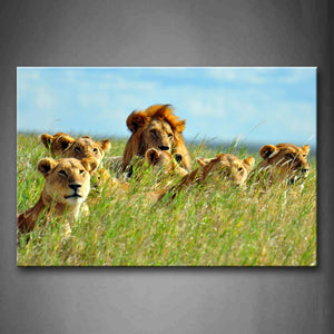 Group Of Lions Sit In Grass Wall Art Painting Pictures Print On Canvas Animal The Picture For Home Modern Decoration 